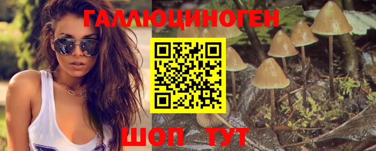 Иваново  Псилоцибиновые грибы мухоморы  где найти   Вход с VPN 